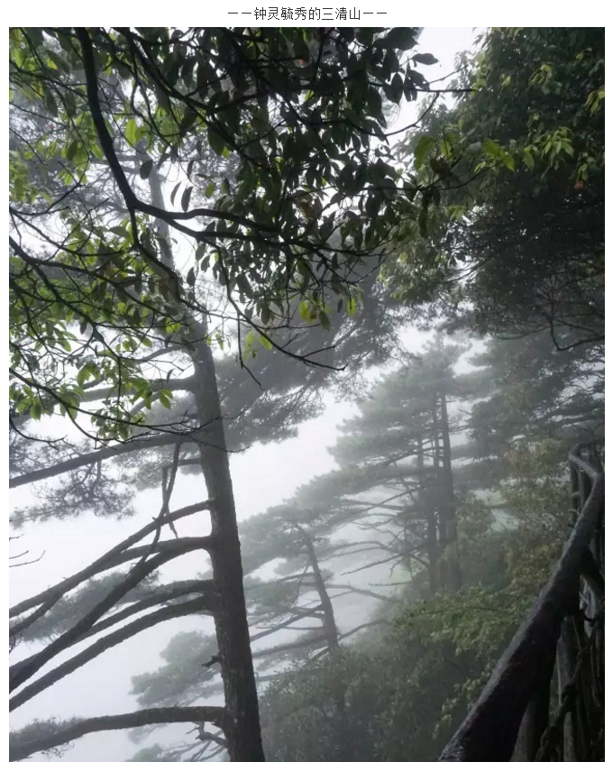 凯时网址团队旅游活动圆满结束